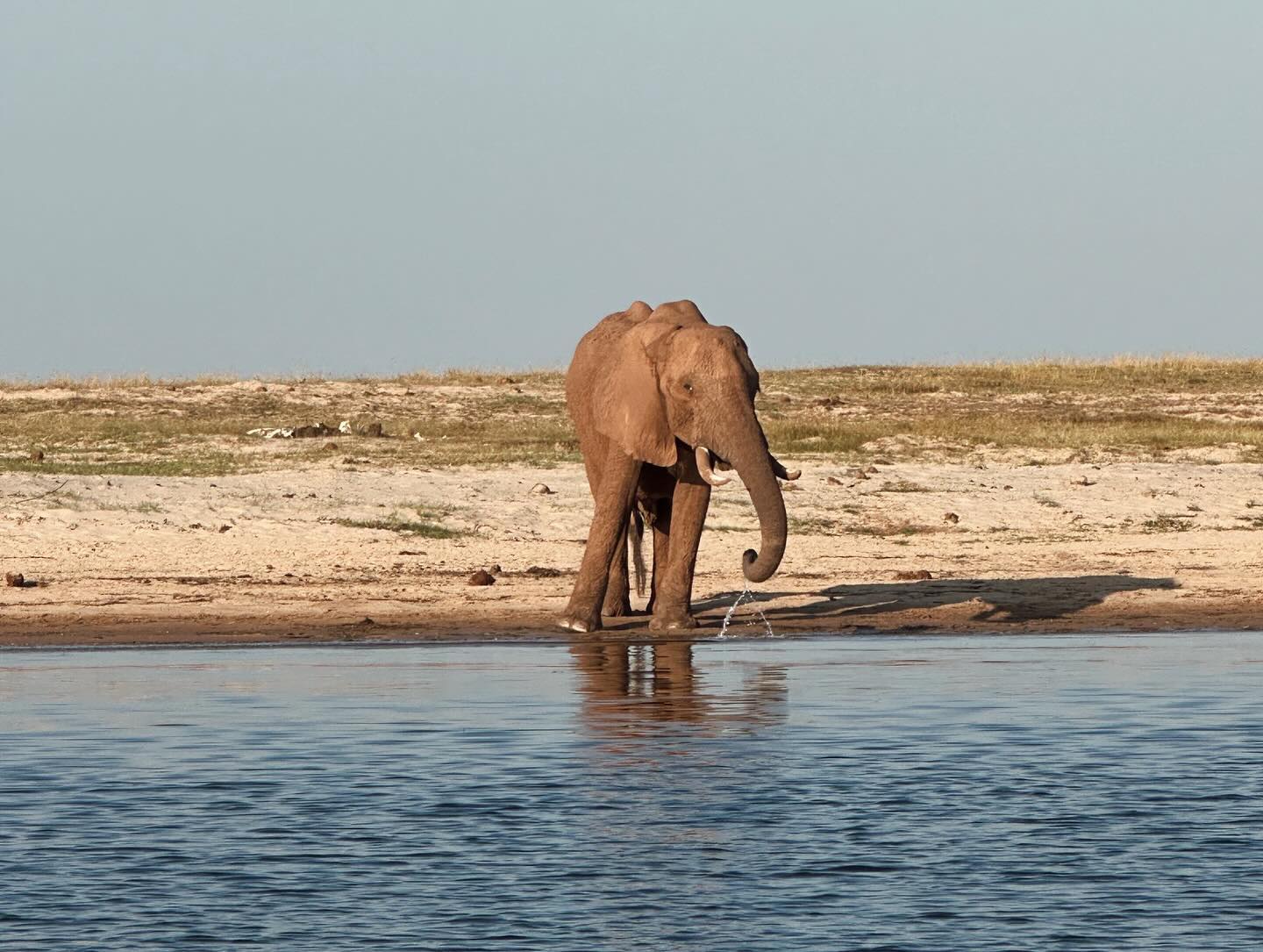 Kariba